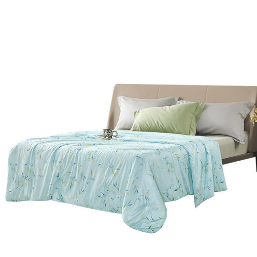 卓凡尼·华伦天奴 悦色针织凉感被GV8176BZ 商品图2