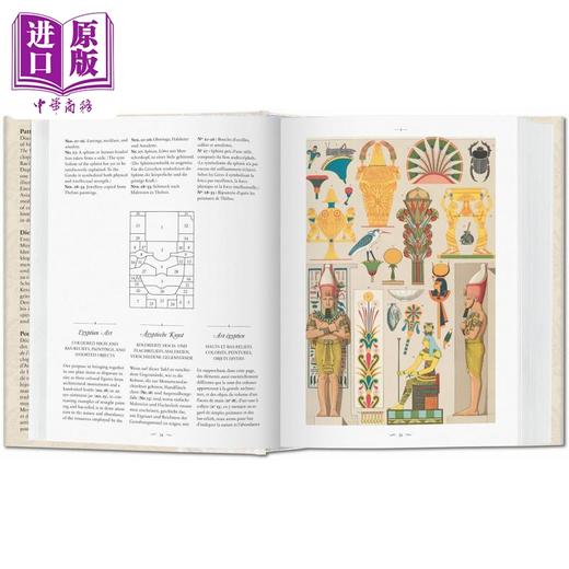 【中商原版】装饰世界 英文原版 The World of Ornament 商品图1