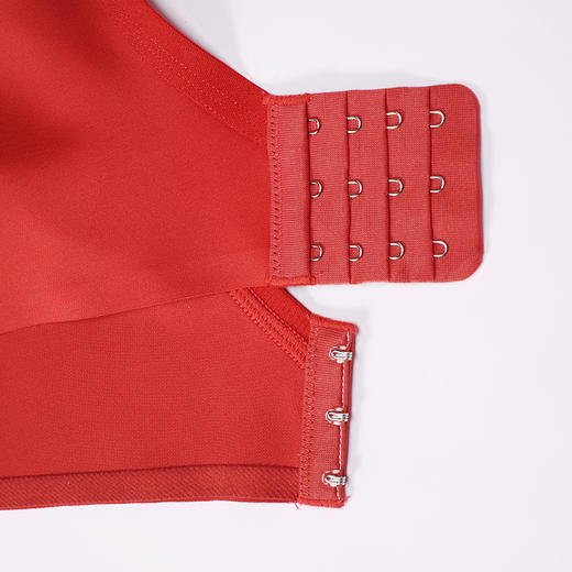 都市丽人内衣聚拢升杯常规文胸蕾丝中厚文胸3/4杯三排扣无钢圈YBT5D3 商品图8