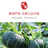 【山东新鲜栗味贝贝南瓜】贝贝南瓜5斤粉糯板栗口感，越放越甜越好吃，小南瓜栗面婴儿辅食首选孕妇粉糯香甜好吃不腻QQ 商品缩略图4