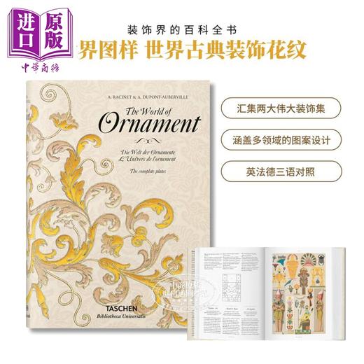 【中商原版】装饰世界 英文原版 The World of Ornament 商品图0