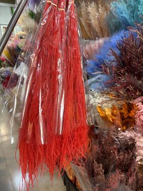 永生花材 | 龙须草红色