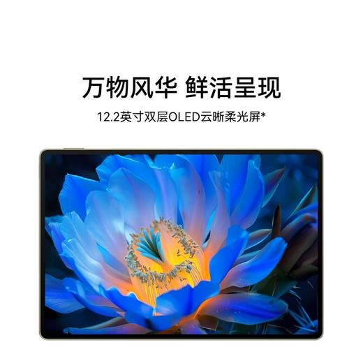 （已减200元）HUAWEI MatePad Pro 12.2 商品图11