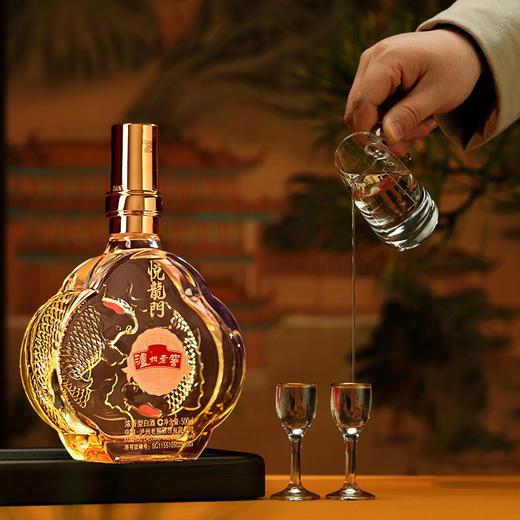 泸州老窖 悦龙门52度浓香型白酒礼盒装 商品图3