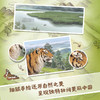 【全6册】中国国家公园 武夷山/东北虎豹/海南热带雨林自然科普 商品缩略图3