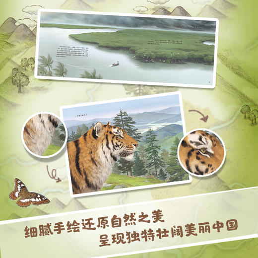 【全6册】中国国家公园 武夷山/东北虎豹/海南热带雨林自然科普 商品图3