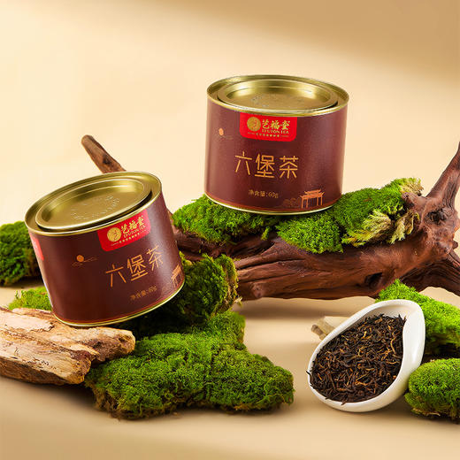 艺福堂茶业特级六堡茶60g/罐 商品图1