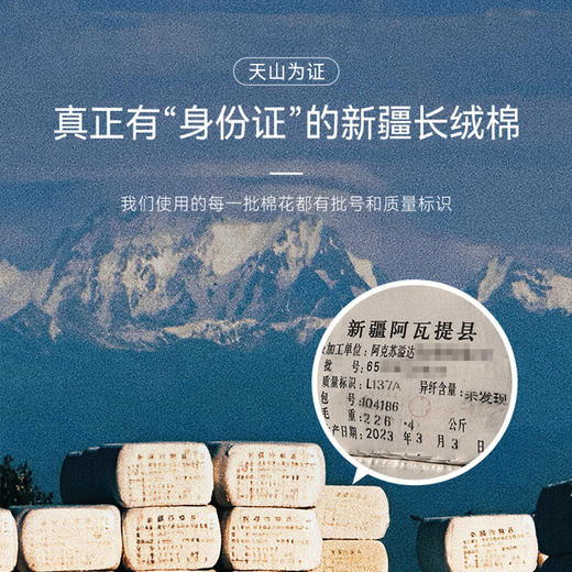 十如仕领嘴钮领提花环保无水染色长袖衬衫-SS05-01 商品图5