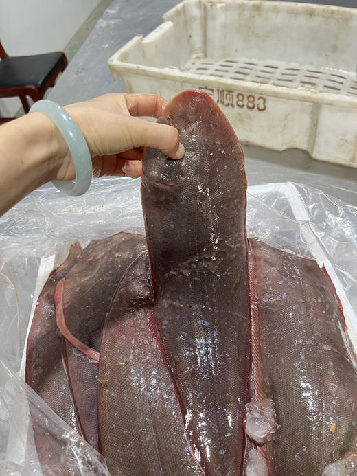 【舌鳎鱼/真龙利鱼】🌞护眼功能明显🌞已去鳞不用去皮 ，清蒸红烧香煎，只需顶部一点点内脏剪了 商品图9