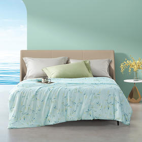 卓凡尼·华伦天奴 悦色针织凉感被GV8176BZ