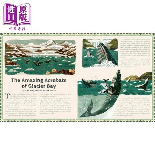 【中商原版】公园的50个故事 50 True Tales from Our Great National Parks 英文原版 儿童绘本故事书 精装科普绘本 进口图书 商品图1