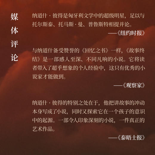 故事终结 纳道什·彼得著作 多重线索交织的叙事迷宫 历史与童言交叠的动情之作 外国文学作品 世纪文景 商品图2