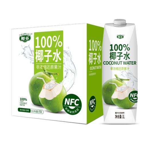 椰谷 NFC100%椰子水1L*6盒 商品图0