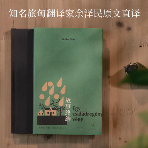 故事终结 纳道什·彼得著作 多重线索交织的叙事迷宫 历史与童言交叠的动情之作 外国文学作品 世纪文景 商品图4