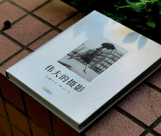 DK图书：《伟大的摄影》，精装，8开，[英]汤姆.昂著，北京美术摄影出版社2019年一版二印，定价238元，售价90 商品图1