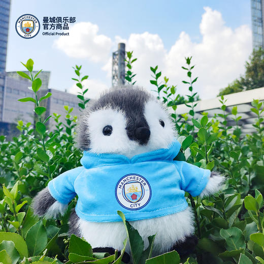 【官方正版】曼城俱乐部 | 企鹅玩偶球迷毛绒队徽印号可爱周边礼物 商品图1