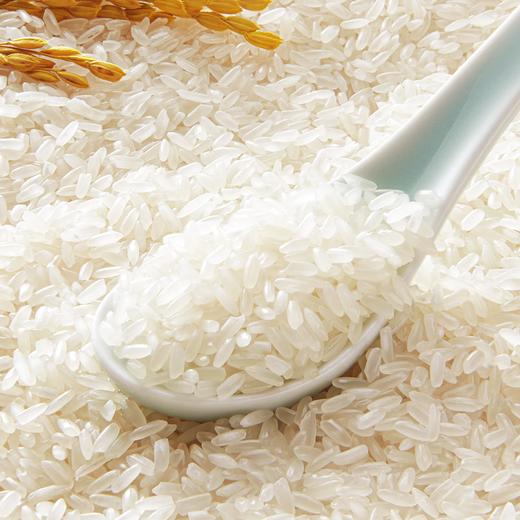 【CWLY】乔府大院原香5kg真空装（红金色） 商品图3