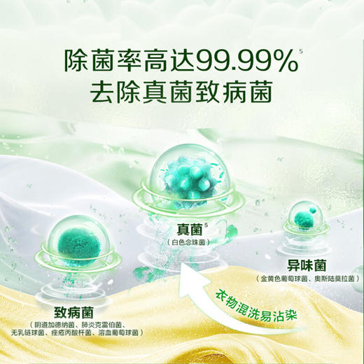 【ZY25】立白卫仕除菌洗衣液 2kg 商品图2