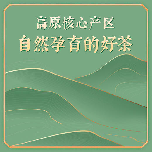 【贵茶】绿宝石经典礼盒216g 商品图11