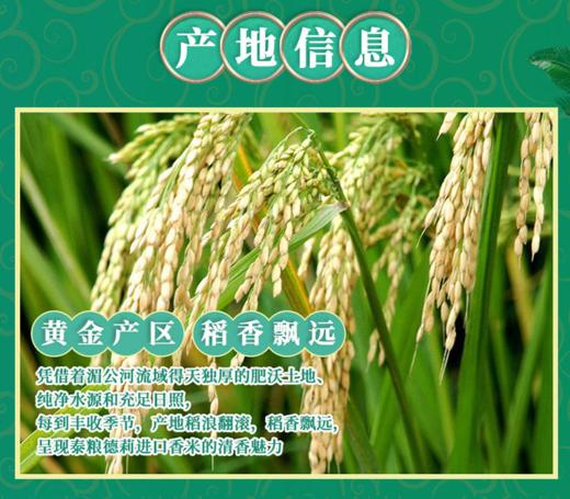 【CWLY】中粮皇家粮仓金花芭曼颂柬韵香米5kg 商品图6