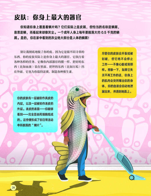 《人体简史：少儿彩绘版》 商品图11