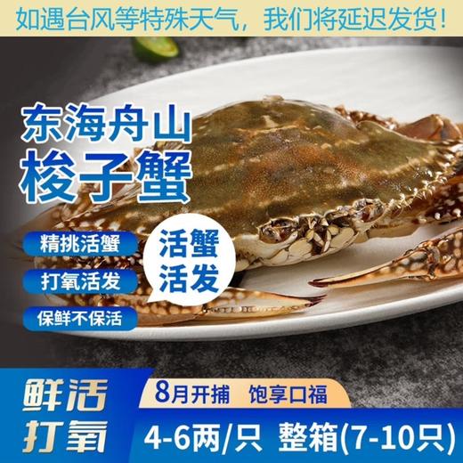 舟山梭子蟹 4-6两/只 4斤 商品图0