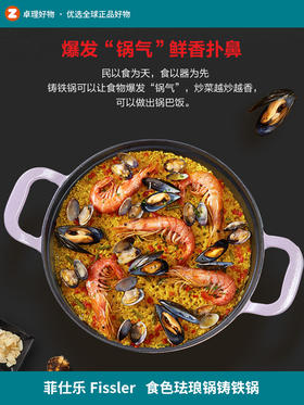 德国菲仕乐食色珐琅锅铸铁锅20CM家用耐高温明火燃气汤锅盅焖煮炖