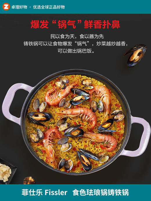 德国菲仕乐食色珐琅锅铸铁锅20CM家用耐高温明火燃气汤锅盅焖煮炖 商品图0