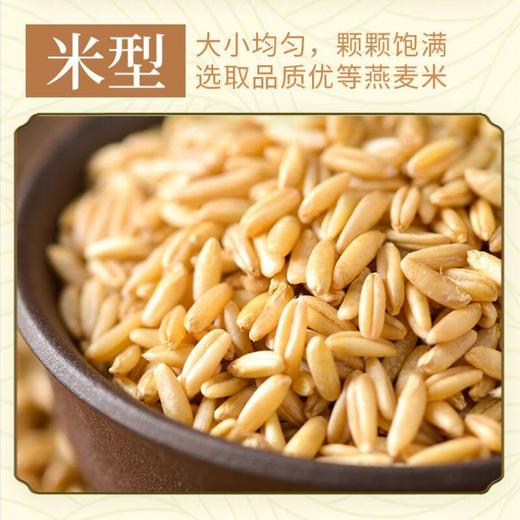五谷土有机燕麦米450g/袋 商品图2