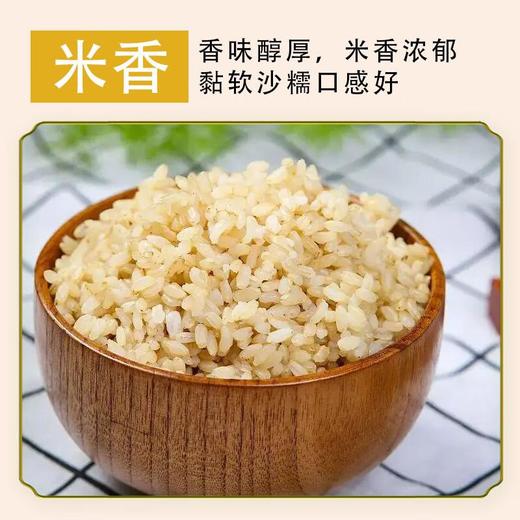 五谷土有机糙米700g/罐 商品图5