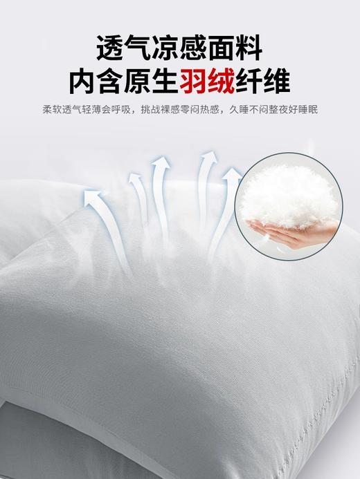 ZEAMO睡眠护腰枕V2款 商品图3