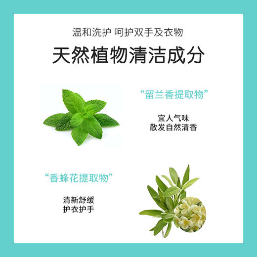 【ZY25】無瑾花深层洁净洗衣液小苏打酵素洁净  低泡易漂洗 3L 商品图3