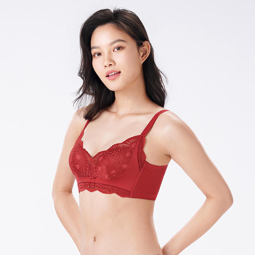 都市丽人内衣聚拢升杯常规文胸蕾丝中厚文胸3/4杯三排扣无钢圈YBT5D3 商品图2