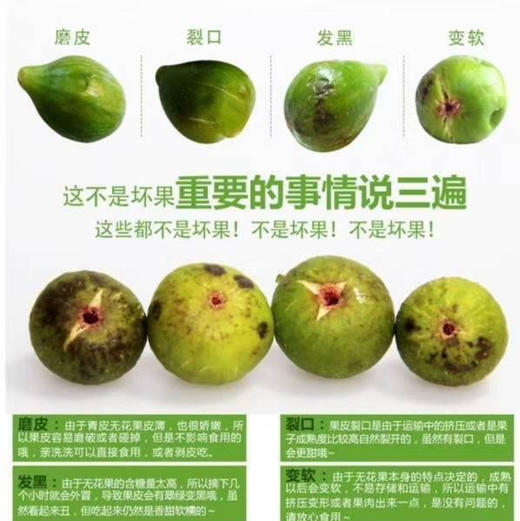 周五小区门口自提！威海青皮无花果，糖包子一枚，净约3.5斤-4斤/箱 商品图3