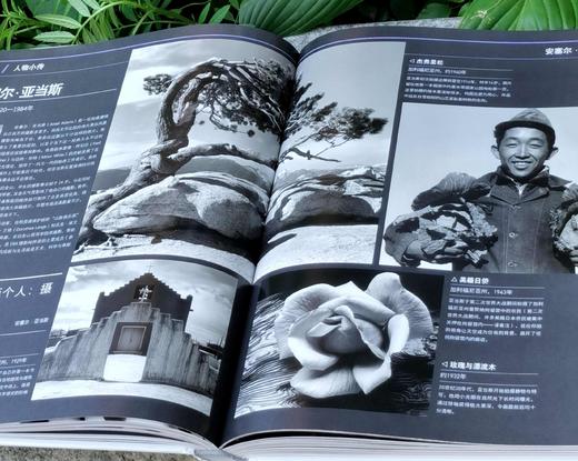 DK图书：《伟大的摄影》，精装，8开，[英]汤姆.昂著，北京美术摄影出版社2019年一版二印，定价238元，售价90 商品图6