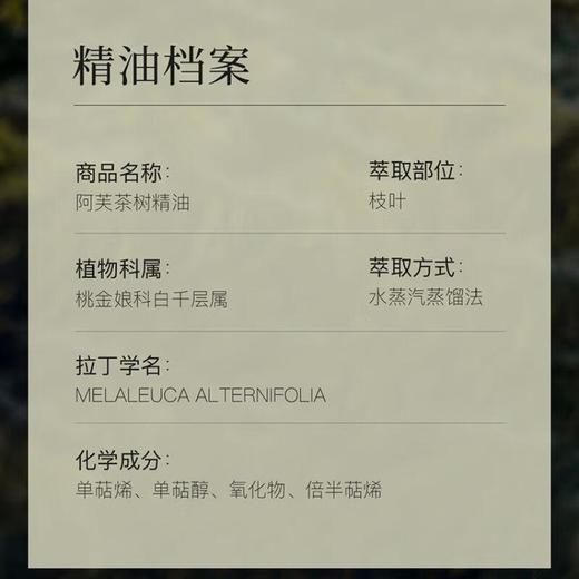 茶树精油/瓶 商品图2