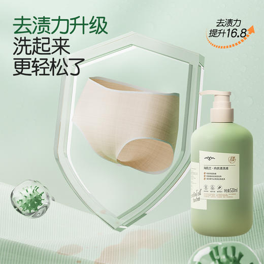 海肌兰内衣清洗液520ml*4内衣裤清洗液抑菌去血渍孕妇衣物清洗剂 商品图4