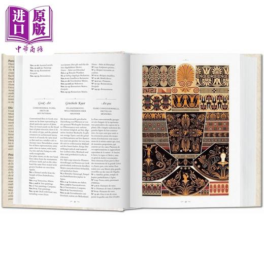 【中商原版】装饰世界 英文原版 The World of Ornament 商品图3