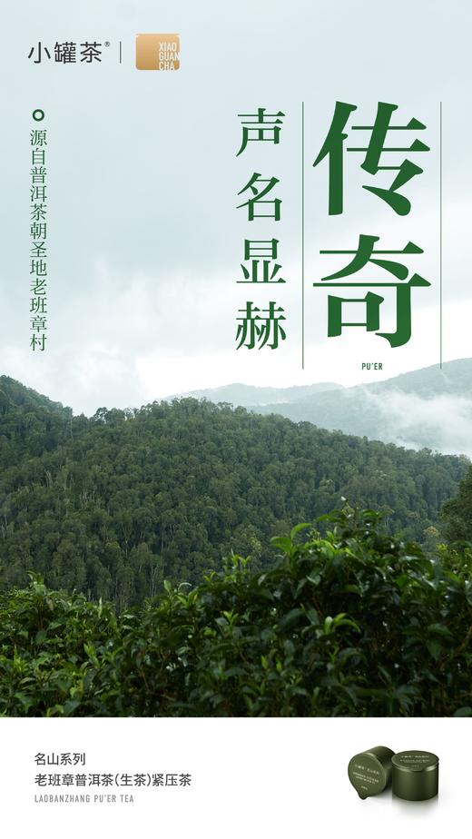 小罐茶 名山系列·老班章普洱茶（生茶）紧压茶12罐装 商品图8