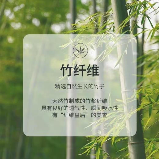 SIFUNING思芙宁2024新款气质修身长袖打底衫T恤时尚百搭A6158/A6191 商品图2