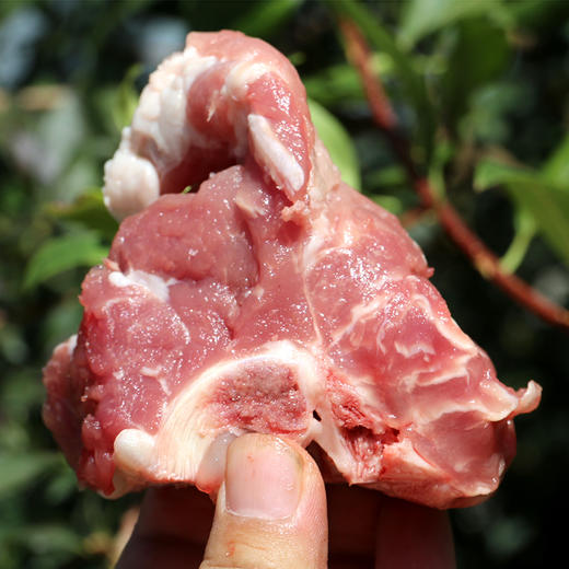 【3份包邮】安心猪脊骨 无抗慢养粮食猪 排骨 猪龙骨 腔骨 急冻锁鲜 500g 商品图4