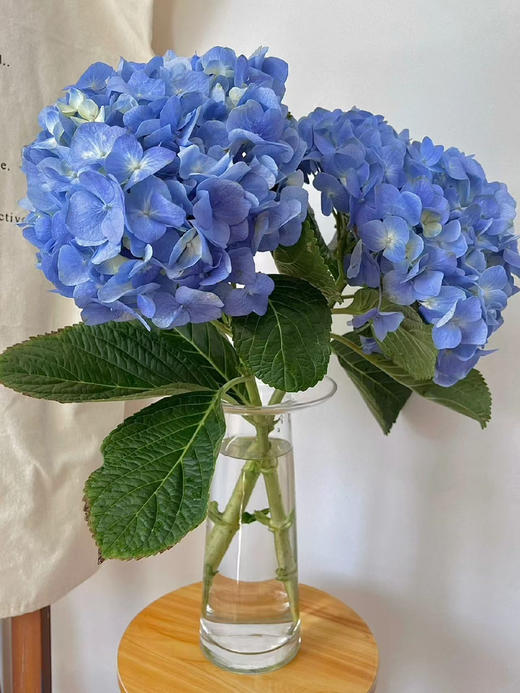 绣球，二支 商品图1