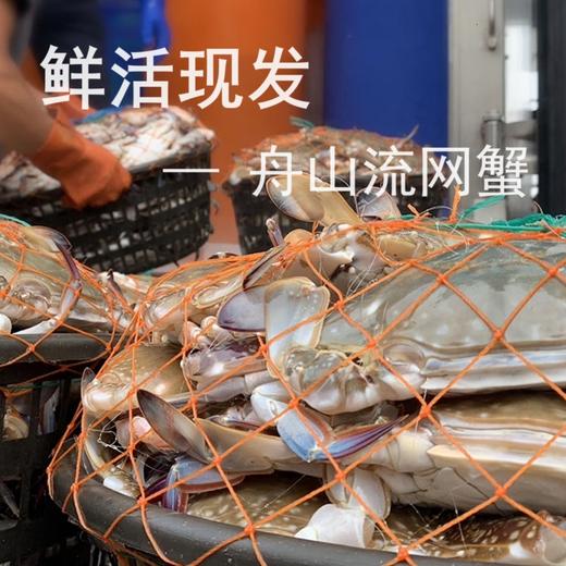 舟山梭子蟹 4-6两/只 4斤 商品图1