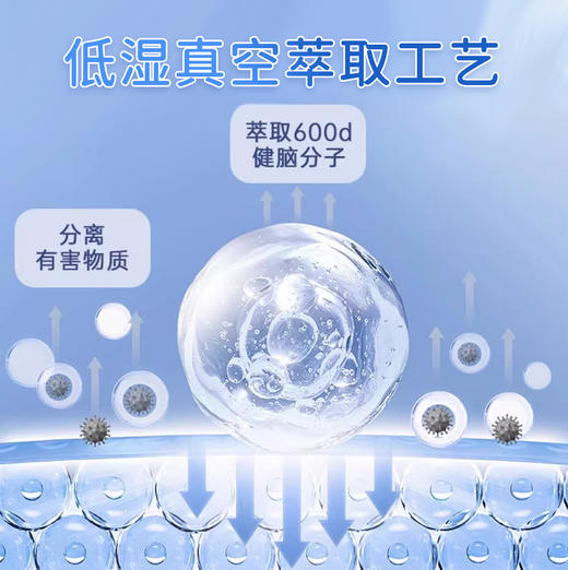 ²【小象磷脂酰丝氨酸益生菌冻干粉】 PS+DHA+专利菌株 3g*21条/盒 甜橙味口溶粉 HM02-CRMM-YS【小象店庆专场】 商品图2