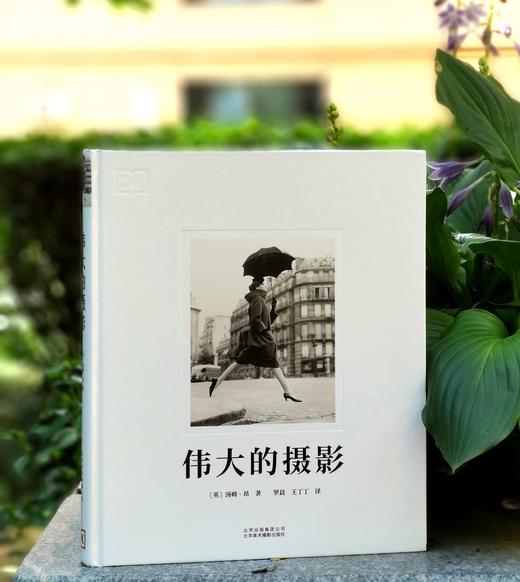 DK图书：《伟大的摄影》，精装，8开，[英]汤姆.昂著，北京美术摄影出版社2019年一版二印，定价238元，售价90 商品图0