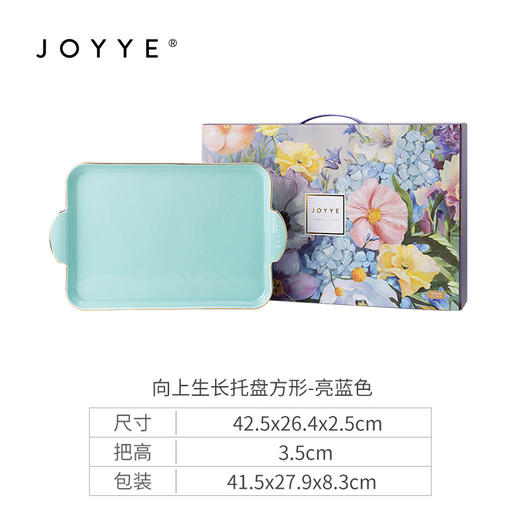 JOYYE向上生长-新骨瓷浮雕长方形陶瓷水果托盘圆形下午茶具茶盘餐盘收纳盘 商品图9