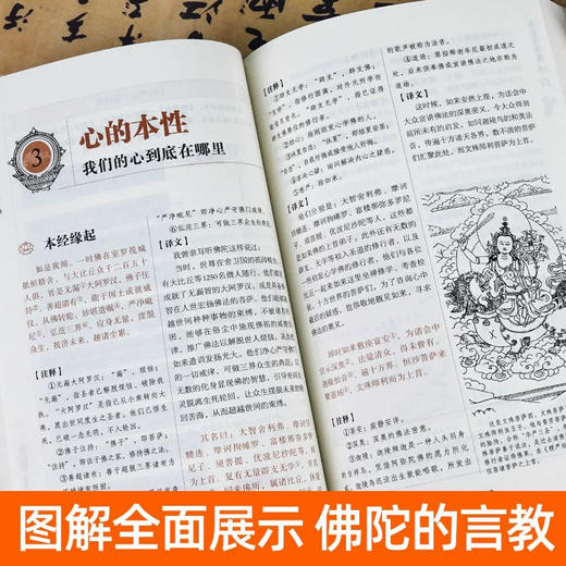 正版图解一次完全读懂佛经佛学书 商品图6