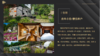 房车营地房车小院·情侣单户房车小院·情侣单户 商品缩略图0