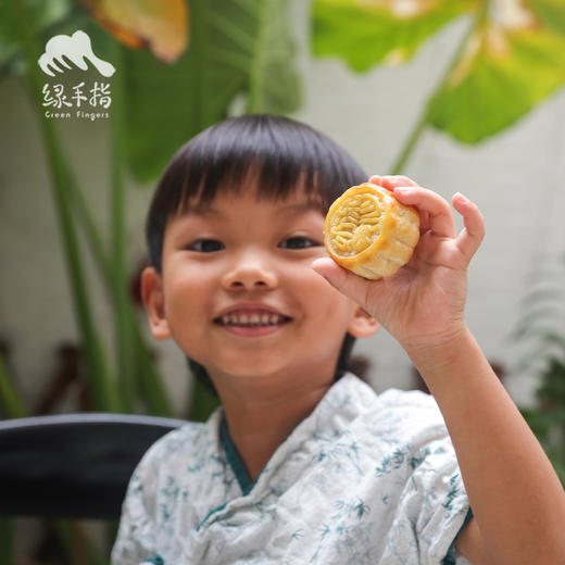 生态手工酥皮月饼（广东省内今天最后一天截单，广东省外停止接单） | 合作生产*Handmade Meringue mooncake | Coprodution 商品图1