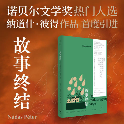 故事终结 纳道什·彼得著作 多重线索交织的叙事迷宫 历史与童言交叠的动情之作 外国文学作品 世纪文景 商品图0